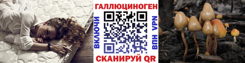 Галлюциногенные грибы Magic Shrooms  магазин  наркотиков  Сельцо 